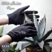 ���|�p��� Withgarden Agave W435 �u���b�N �T�C�Y 10/XL ���a�R�[�|���[�V���� �T�{�e�� �K�[�f�j���O�p ��� �E�B�Y�K�[�f�� �v���e�S ��Ɨp ��� ��v M4