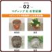 �엿 �}�O�@���vK ���� 500g �n�C�|�l�b�N�X �엿 ��� �엿 500g �엿 ���� �엿 �o�� �엿 ��ؔ엿 �엿 �Ő� �엿 �Ő��̔엿 �o���엿 �o���̔엿 M1 �֘A�摜3