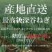  свежесть . отличается!! прямая поставка от производителя высший класс Fukaya лук порей грязь есть 10kg. основа район производство выдающийся .. специальный продукт лук-батун ... один. ..NG10