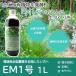EM1�� 1L�i�L�p�������y����ǁj [���� �K�[�f�j���O �A�� �엿] 2�{�Z�b�g �֘A�摜1
