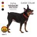  собака ошейник модный цвет Classic цвет Lead маленький размер собака средний собака простой Harness man da Lynn Brothers CLASSIC COLLAR S. покупка 