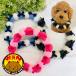  собака кошка лента ... короткое колье лента ошейник ручная работа pompon короткое колье аксессуары популярный короткое колье мяч колье withwan. покупка 