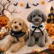  собака нагрудник Halloween аксессуары костюм Halo we n ручная работа маскарадный костюм собака одежда маленький размер собака средний собака костюмированная игра with one . покупка 