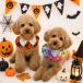  собака нагрудник Halloween аксессуары костюм Halo we n ручная работа маскарадный костюм собака одежда маленький размер собака средний собака костюмированная игра with one . покупка 