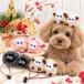�� �J�`���[�V�� �Ђ� �r �q�c�W �R�X�`���[�� ��蕨 ���x �n���h���C�h ���� �h�b�O�E�F�A ���^�� ���^�� �R�X�v�� �E�B�Y���� ����