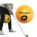  Quick тормозные колодки QMMGNT12 Connect мяч 2 Quick Master CONNECT BALL II Golf тренировка swing конструкция 