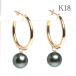 ԥ K18աץԥ2cm2mm K18㡼չĳ8.5mm 2.9 㡼곰 󥸤Ǥ  ꥳ󥭥å
