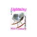  журнал [Lightning/ подсветка ][2024 год 4 месяц номер Vol.360][ кошка pohs соответствует ]( American Casual / Denim / милитари / ботинки / джинсы / "куртка пилота" / Wolf упаковка )