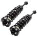 SCITOO Front Pair Strut  Spring Complete Assembly Compatible with 2004-2008 for Ford for F-150, 2006-2008 for Lincoln Mark LT 4WD Complete Struts 17