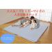  Family size soft towel bed pad single bed futon 2 sheets minute size river. character parent . sleeping wide . large king-size gift present 