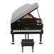 SEGA TOYS Sega игрушки / миниатюра фортепьяно / Grand Pianist /Grand Pianist/B разряд /75[ б/у ]