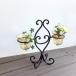 �L�����h���z���_�[ �K���X �A�C�A�� �A���e�B�[�N �L�����h���X�^���h �u���� ��֑}��