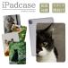 iPad кейс iPad кейс iPad Air M3 11 дюймовый A3266 A3267 A3270 для кошка .. фотография чёрный кошка симпатичный Kids 