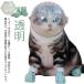  кошка для маска намордник foot с чехлом прозрачный домашнее животное маска космос headgear намордник "дышит" кошка ветеринарный воротник вентиляция кошка .. кусачки для ногтей инструмент для оказания помощи уголок уборка автомобиль 