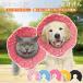 [ популярный товар ] ветеринарный воротник собака soft кошка ткань собака для мягкость . после одежда подушка царапина облизывание .... предотвращение легкий 