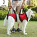 [ популярный товар ] уход для Harness приспособление для ходьбы для Harness товары для домашних животных . собака средний собака большой собака пластик пряжка длина настройка возможность простой красный orange зеленый помощь 