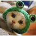  кошка для костюмированная игра лягушка. головной убор . шляпа собака кошка для парик домашнее животное шляпа домашнее животное костюмированная игра колпак 