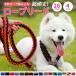 �� ���[�h ������� ��v 120 ���^�� ���^�� ��^�� ���p �U�� �� �ەR �h�b�O���[�h