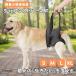  собака уход Harness приспособление для ходьбы средний собака большой собака . собака li - bili прогулка шлейка 