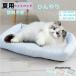 [ новинка ] домашнее животное bed летний кошка .... bed собака bed собака .... коврик подушка охлаждающий охлаждающий коврик мягкий .... товары для домашних животных коврик кошка для маленький размер собака 