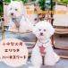 �y�V�o��z�� �n�[�l�X ���p�n�[�l�X���[�h�Z�b�g ���^�� ���^�� �E���Ȃ� �����Ȃ� ������� ���킢�� �`�F�b�N �����t���n�[�l�X ���� �t�� �ݕt���V���c