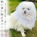 �y�V�o��z�y�Q�Z�b�g�z�E���H���h�~ �J�o�[ �l�b�g ����h�~ ��H�h�~ �U�� ���S ���U���O�b�Y �y�� �E���H���h�~ �}�Y�� �r�ߖh�~ �����p �E���H�� ������
