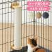 [ новинка ] коготь .. клетка установка 40cm кошка paul (pole) лен . натуральное дерево симпатичный компактный съемный compact легко устанавливается . кошка для .... клетка для лен домашнее животное 