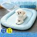 [ новинка ] домашнее животное bed собака летний bed .... bed контакт охлаждающий ... охлаждающий коврик прохладный коврик предотвращение скольжения симпатичный ... собака кошка собака для подушка маленький размер собака 