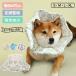  высокое качество ветеринарный воротник для домашних животных soft ветеринарный воротник собака собака кошка кошка . после водонепроницаемый мягкий тип простой оборудован легкий шея .. мягкий материалы товары для ухода собака для кошка для 