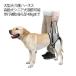  собака для уход Harness собака пассажирский Harness собака приспособление для ходьбы Harness помощь прогулка приспособление для ходьбы . собака Harness задний пара собака Harness прогулка ходьба поддержка устойчивый маленький размер собака 