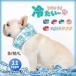�N�[���l�b�N �Ђ��� �O�b�Y �� �y�b�g �M���Ǒ΍� �₽�� �N�[���X�k�[�h ���p �U�� �⊴���^�� ���^�� ��^�� �� �l�b�N�N�[���[ �^�I�� �t�R�[�f