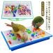  птица. игрушка птица для игрушка пластик oka основной монета ko игрушка bird игрушка птица маленькая птица птица товары игрушка -тактный отсутствует аннулирование se регулирование длиннохвостый попугай ruligo морщина ta