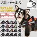 �� �n�[�l�X ���^�� ��^�� ���^�� ���� ���� �����ɂ��� �ɂ��Ȃ� �ȒP���� �A�E�g�h�A �����Ȃ� �X�e�b�v�n�[�l�X �E�F�A�n�[�l�X ���p �E���Ȃ�