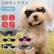 ���p�S�[�O�� ���^�� �h�b�O�S�[�O�� ���p�T���O���X ���O���΍� �Ԑ����΍� UV�J�b�g �ڂ�ی� ���������ߗ� �y�b�g�S�[�O�� �y�b�g�p�i �J�[�p�i ���U���O�b�c