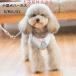  собака Harness домашнее животное для маленьких собак ошейник домашнее животное pala кости Lisa . газ жемчуг окантовка лучший Harness SM L XL модный для домашних животных собака для Harness 
