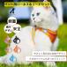 �L �n�[�l�X �����Ȃ� �_�u�����b�N �}�W�b�N�e�[�v �� �n�[�l�X���[�h�Z�b�g �ЊQ ���₷�� ���� ���� �y�� ������� ���o���� ���^�� �q�� �q�L