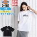 Dickies �f�B�b�L�[�Y D-467 �t�� �⊴ UV�J�b�g �X�g���b�` ���� T�V���c �����Y ��ƕ� ����