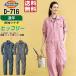 �Ȃ� ���� �����Y ��ƕ� Dickies �f�B�b�L�[�Y D-716 �ʔN �X�g���b�` �q�b�R���[ ���F��