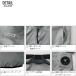 �󒲕��_�� �x�X�g �T�C�h�t�@�� (���̂�) �T���G�X SUN-S KF96032 �ՔM ���F�� UV�J�b�g �t�@���t����ƕ� S-5L �֘A�摜2