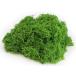  поддельный Moss человеческий труд мох примерно 40g искусственная зелень geo лама оборудование орнамент модель koke зеленый зеленый миниатюра прекрасное платье прекрасное платье .... круг GRDN-008