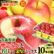  Aomori apple 10kg box sun ...... name month or gold star Mix home use / with translation free shipping apple with translation 10 kilo box * is possible to choose .. name month or gold star or.. house translation 10kg box 