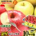  Aomori apple 10kg box sun ... gold star Mix home use / with translation cool flight free shipping apple with translation 10 kilo box *.. gold star Mix house translation 10kg box 