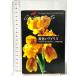  желтый Iris . река книжный магазин Agatha * Christie 