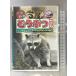 ri.. .....[ енот * бобер * морской бобр ] Arc [DVD]