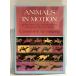  иностранная книга Animals in Motion (Dover Anatomy for Artists) Dover Publications Eadweard Muybridge