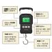 �f�W�^���݂�͂��� �f�W�^���X�P�[�� �t�B�b�V���O�p ���W���[�t�� 75kg �啨�Ή� �n�J���hD �I�����h�ދ� �������� �֘A�摜5