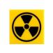 Citizen Brick LOOSE 2x2 Tile Radioactive ֥å 