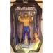 WWE ץ쥹 Ruthless Aggression Chase The Belt Series 19: Randy Orton ե奢 ͷ 