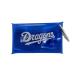 Professional Baseball!NPB! Chunichi Dragons прозрачный чехол CDAC-5735 [IR]