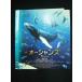 0019656 в аренду UP*BD Ocean z20234 * кейс нет 